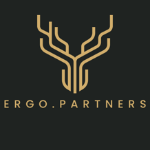 ergo embedded business logo