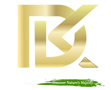 dk health and beauty logo
