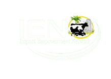 Impact Empowerment Network logo