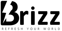 Brizz logo