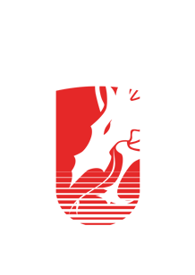team alves logo