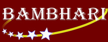 Bambhari Research membership for companies logo