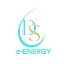 DS e-Energy logo
