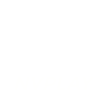 NVPLAY logo