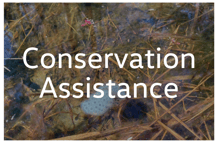 Conservation Assistance Tab