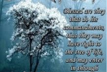 Jesus Prophecy Babylon warned