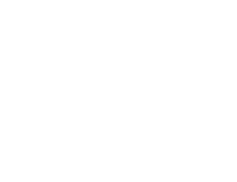 a black and white logo for blue duck salon