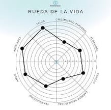 metodo rueda de la vida