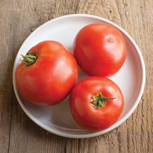 Big Beef Beefsteak Tomato