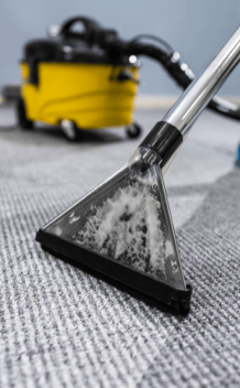 battle creek, kalamazoo michigan lawn care, pressure washing, carpet shampoo