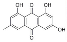 Molécule lichénique – Emodine