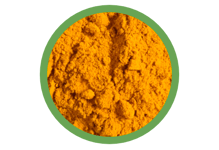 green tea extract powder