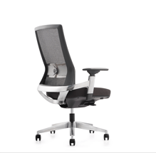 Black mesh ergonomic office chair with polished base, adjustable armrests and lumbar