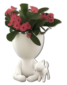 Pots de fleur amusants