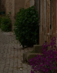Typisch Portugees dorps straatje met bloemen en balkon
