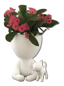 Pots de fleurs décoratifs
