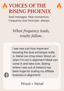 DM screenshot of Wood + Metal Archetype – Visionary entrepreneur celebrates discovering her strategic dual archetype