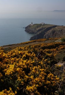 hothw-irlanda-faro