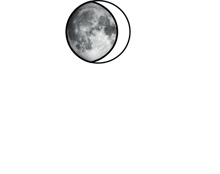 Moon Ink Frankfurt logo