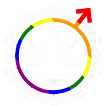 Aanubhuti Healings & Wellness Centre logo