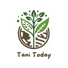 Tani Today logo