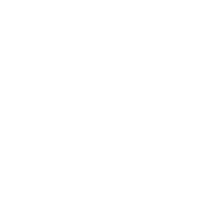 Santoro's Consultoria logo