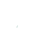 BudShe logo