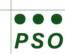 Professional Service Options PLLC logo