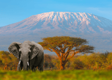 Monte Kilimanjaro