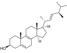 Molécule lichénique – Lichestérol 