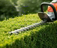 Zastřihování živého plotu.