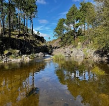 Campo del Alma