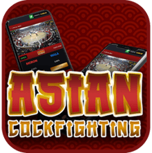 asian cockfighting