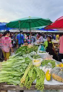 ตลาดนัด ฝนทอง (Talat Nat Fontok), Chumphon 