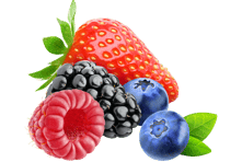berries