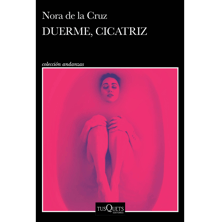 Portada del libro Duerme, Cicatriz.