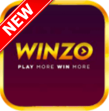 WINZO APP LOGO