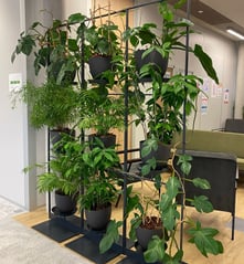 espace vert d'intérieur