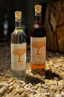Xudiza Vigate 
