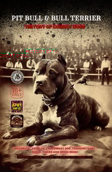PIT BULL DOG AND BULL TERRIER HISTORY FIGHTING DOGS 1910