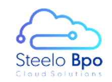 Steel IT&P logo