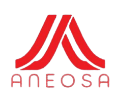 Aneosa IT CORPORATION logo