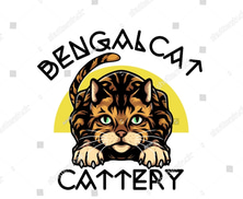 Silver Whisper Russian Blue Cattery logo