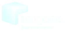 BRIQORA logo