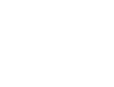 Rawheels Media logo