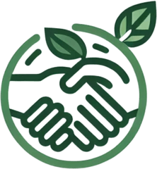 Conseil et Stratégie  logo