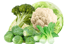 Cruciferous Veggies