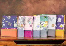 Etui à liseuse