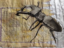 vintage scarabeo