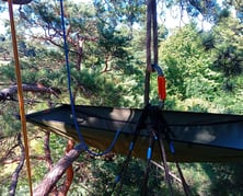 Hammock hanging in a tree